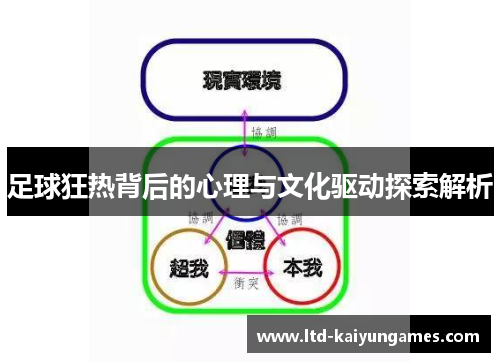 足球狂热背后的心理与文化驱动探索解析