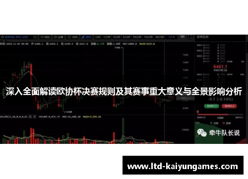 深入全面解读欧协杯决赛规则及其赛事重大意义与全景影响分析
